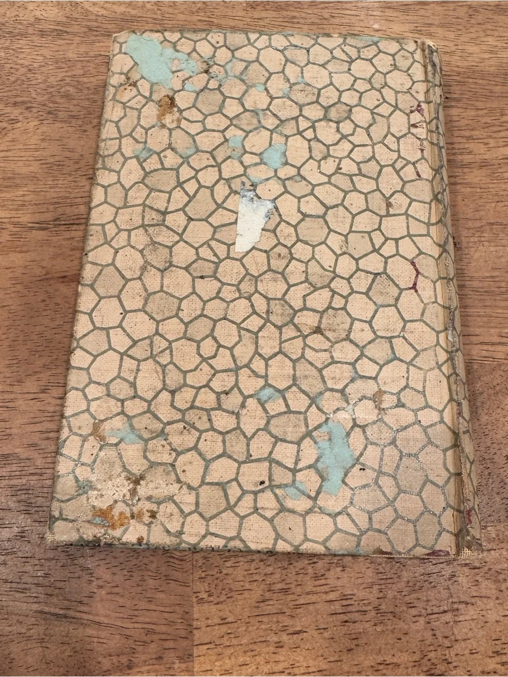1924 Modern Priscilla Cook Book Old Family Recipes Vintage